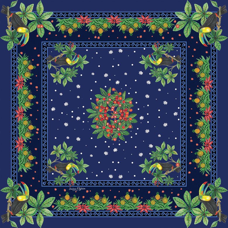 bandana-toucan