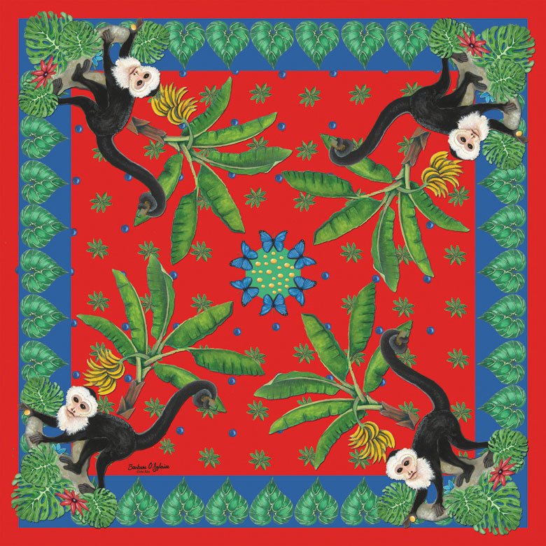 bandana-white-faced-monkey