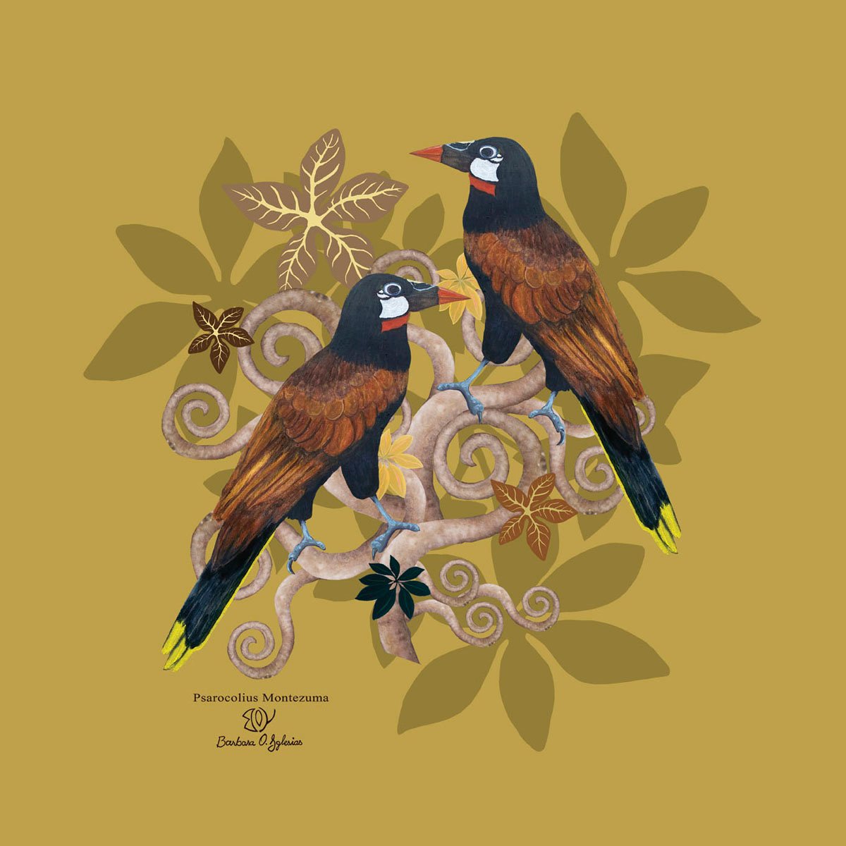 art-Oropendola