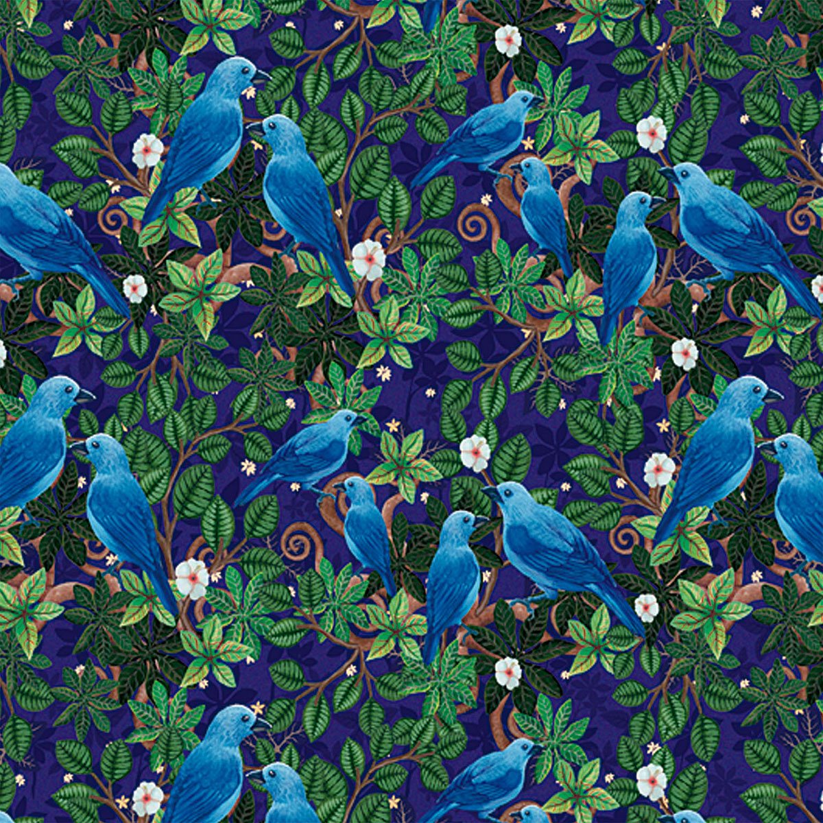 blue-grey-tanager-pattern