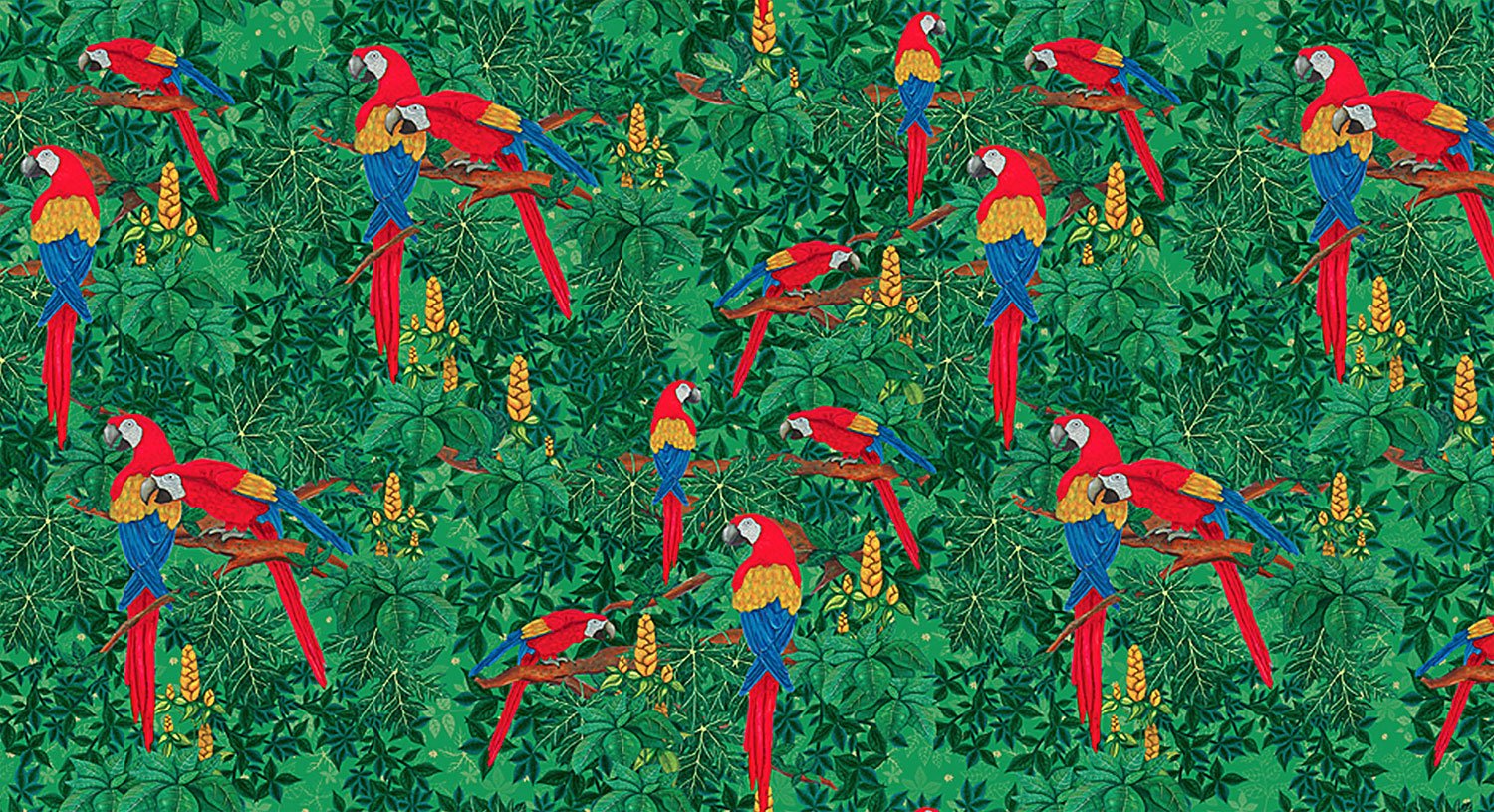 scarlett-macaw-pattern