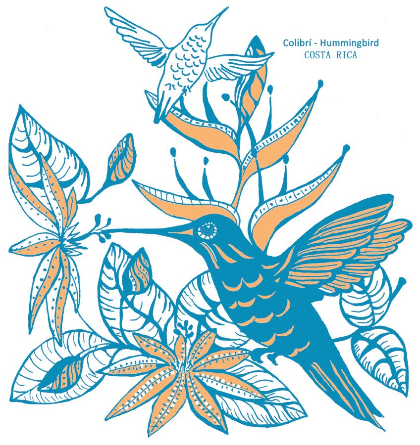 Arte-Colibri