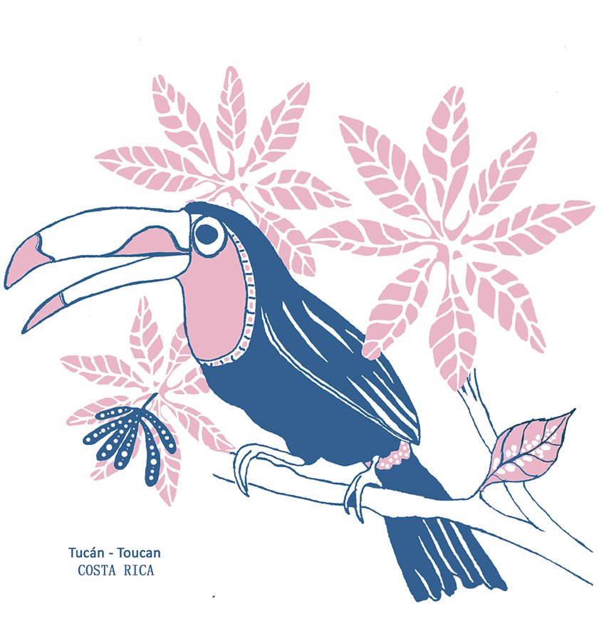 Arte-Tucan