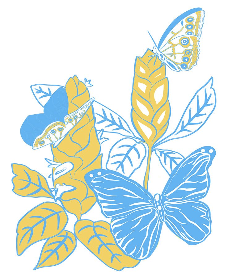 Morpho