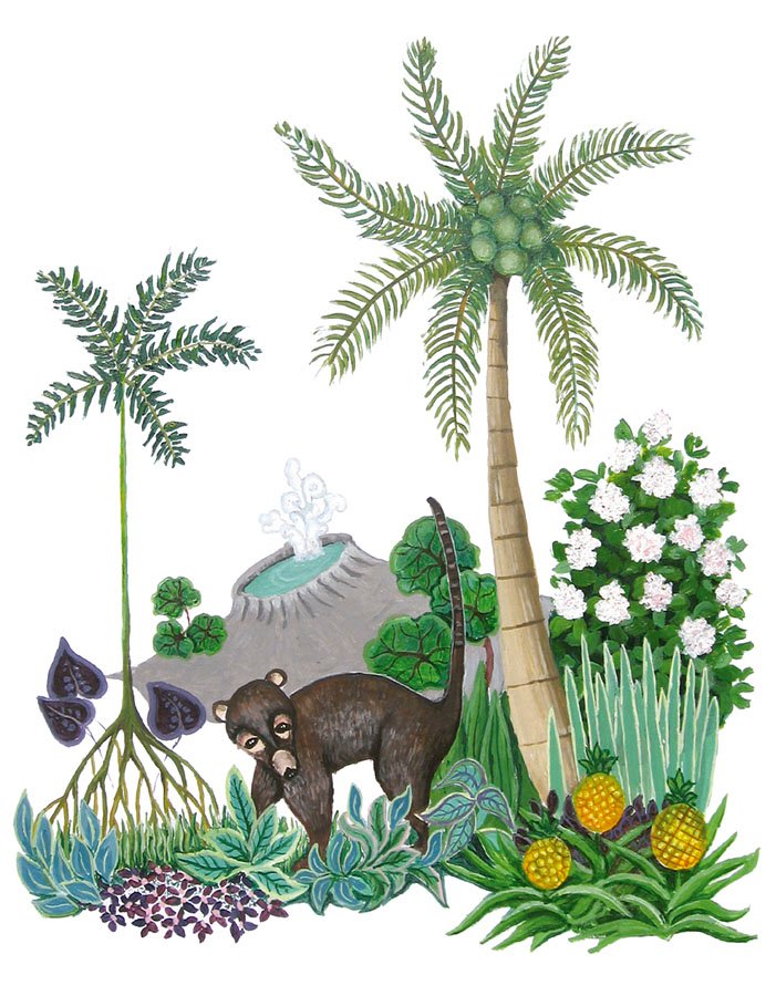 coatimundi