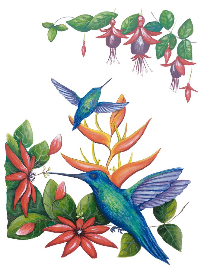 hummingbird