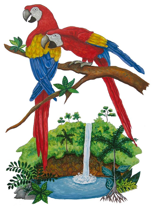 scarlet-macaw