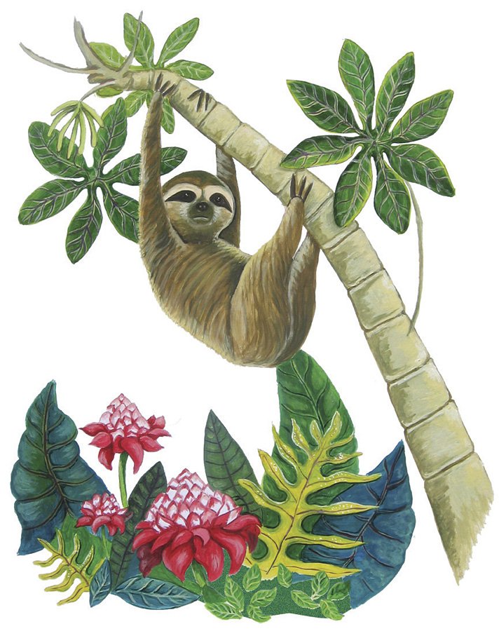 sloth