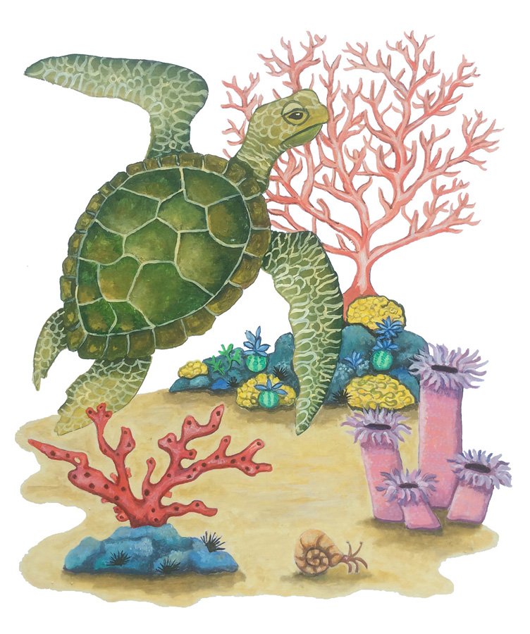 turtle